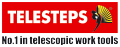 logo Telesteps