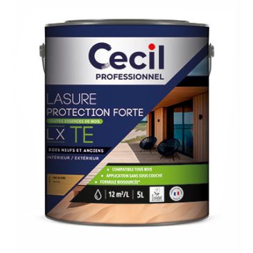 Lasure protection forte LX TE de Cecil