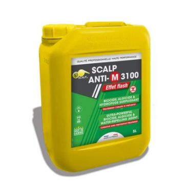 Biocide et algicide SCALP ANTIM 3100 Scalp