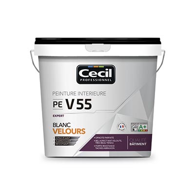 Peinture finition PEV55 Velours