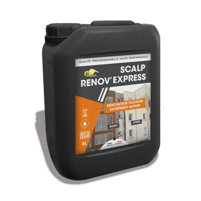 Produits de traitement SCALP RENOV’EXPRESS Scalp 